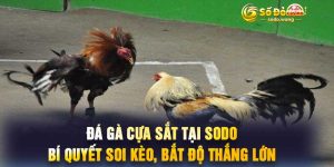 Đá Gà Cựa Sắt Tại SODO Bí Quyết Soi Kèo, Bắt Độ Thắng Lớn