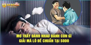 Mơ Thấy Đánh Nhau Đánh Con Gì – Giải Mã Lô Đề Chuẩn Tại Sodo
