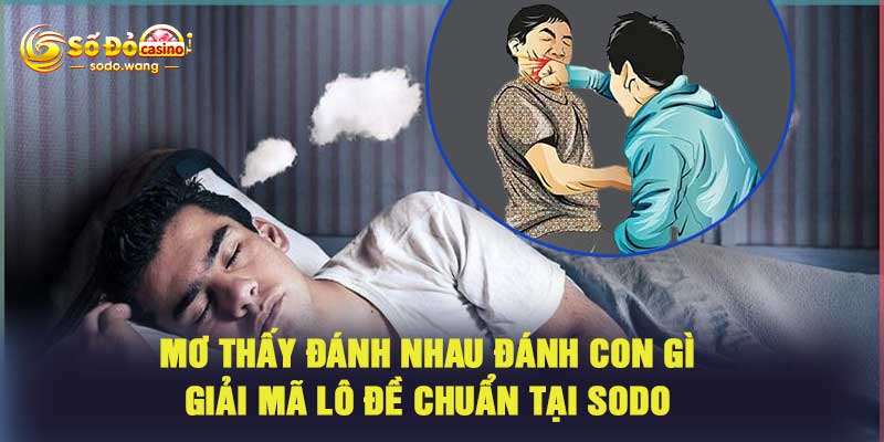 Mơ Thấy Đánh Nhau Đánh Con Gì – Giải Mã Lô Đề Chuẩn Tại Sodo