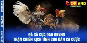 Đá Gà Cựa Dao OKVND – Trận Chiến Kịch Tính Cho Dân Cá Cược